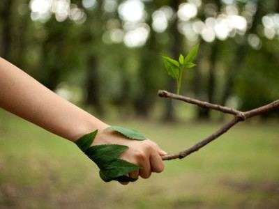 Economía regenerativa: hagamos bello al dinero