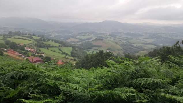 Mi primer Camino de Santiago, ¿me ayudas?