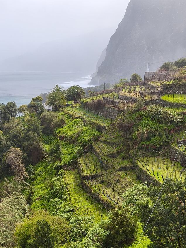 Madeira, el destino que se reinventa con sostenibilidad y naturaleza