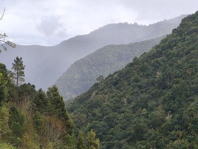 Madeira, el destino que se reinventa con sostenibilidad y naturaleza