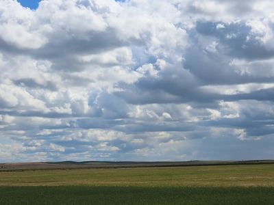 Entre Olivos y Bodegas: nace un destino basado en la autenticidad de Tierra de Campos