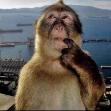 Los gobernantes parecen haber olvidado que el crecimiento económico no es lo mismo que desarrollo económico