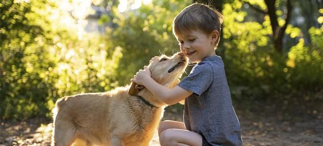Los españoles gastan 1.000 euros anuales de media en el cuidado veterinario de sus mascotas