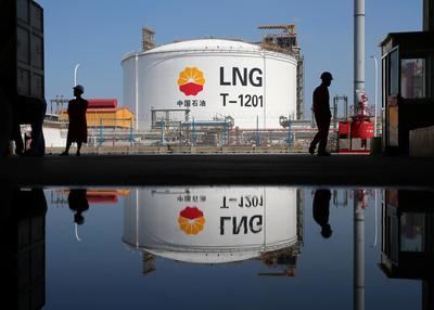 China y su green washing particular