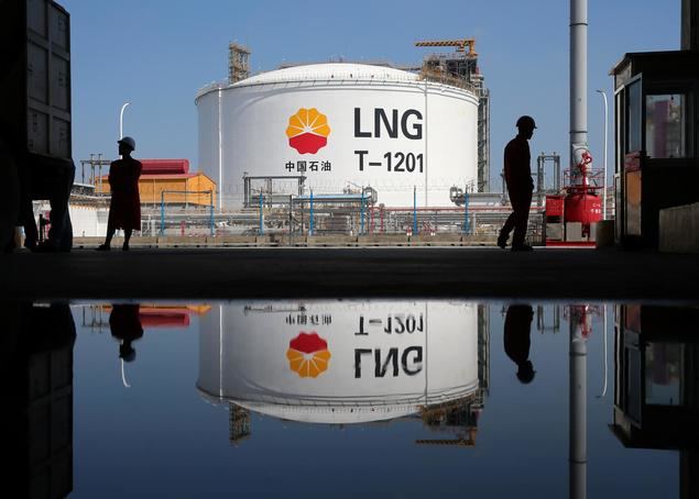 China y su green washing particular