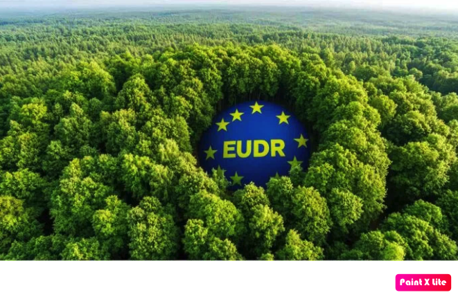 Cuando Bruselas exporta sus suposiciones