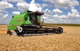 Alertan de que el alza de los cereales puede lastrar los beneficios de las empresas de alimentación