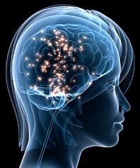 Nebrija Business School organiza un taller de neuromarketing