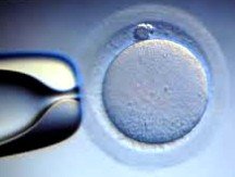 Barcelona acoge el I Simposio Internacional sobre la Vitrificación Social de Óvulos