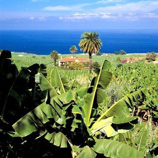Una forma diferente de conocer Tenerife