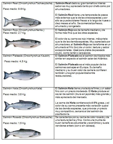 Salmón Salvaje de Alaska, una delicia sostenible