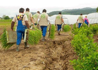 La BBK pone en marcha la Bioeskola BBK, un huerto ecológico para personas en riesgo de exclusión social