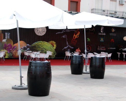 Feria de los Sabores de la Tierra del Quijote, lo mejor de la gastronomía manchega en Alcázar de San Juan