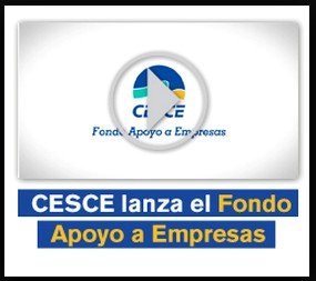 CESCE es una compañí­a de capital mixto fundada en 1970 en la que el Estado cuenta con la mayoría y en la que participan las principales entidades financieras españolas, así como algunas compañías privadas de seguros.